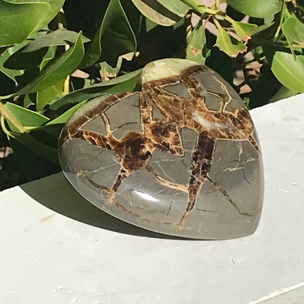 Hand Polished Septarian Heart