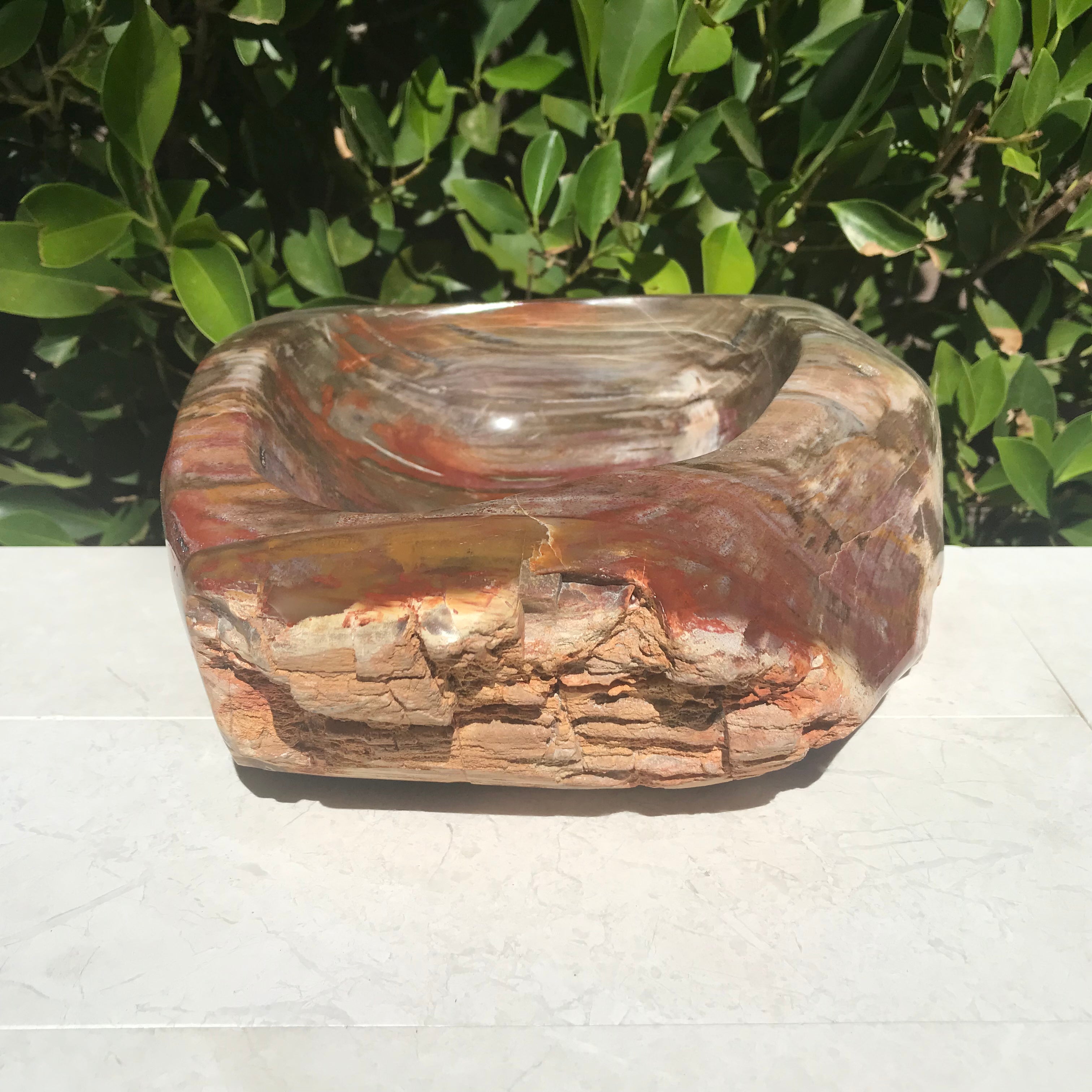 Multihued Petrified Wood Bowl