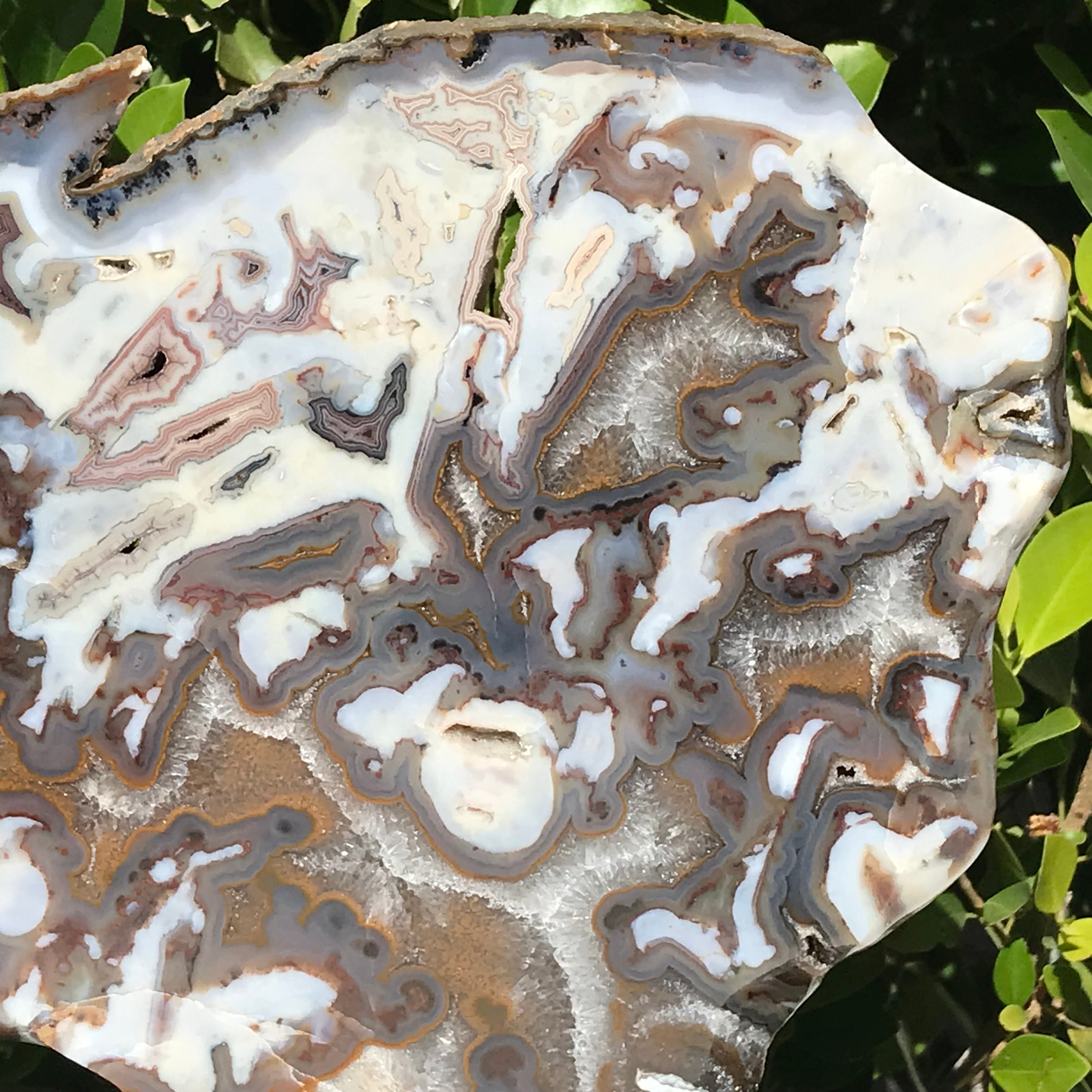 Striking Brazilian Agate Slice