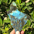 Rainbowed Labradorite Freeform