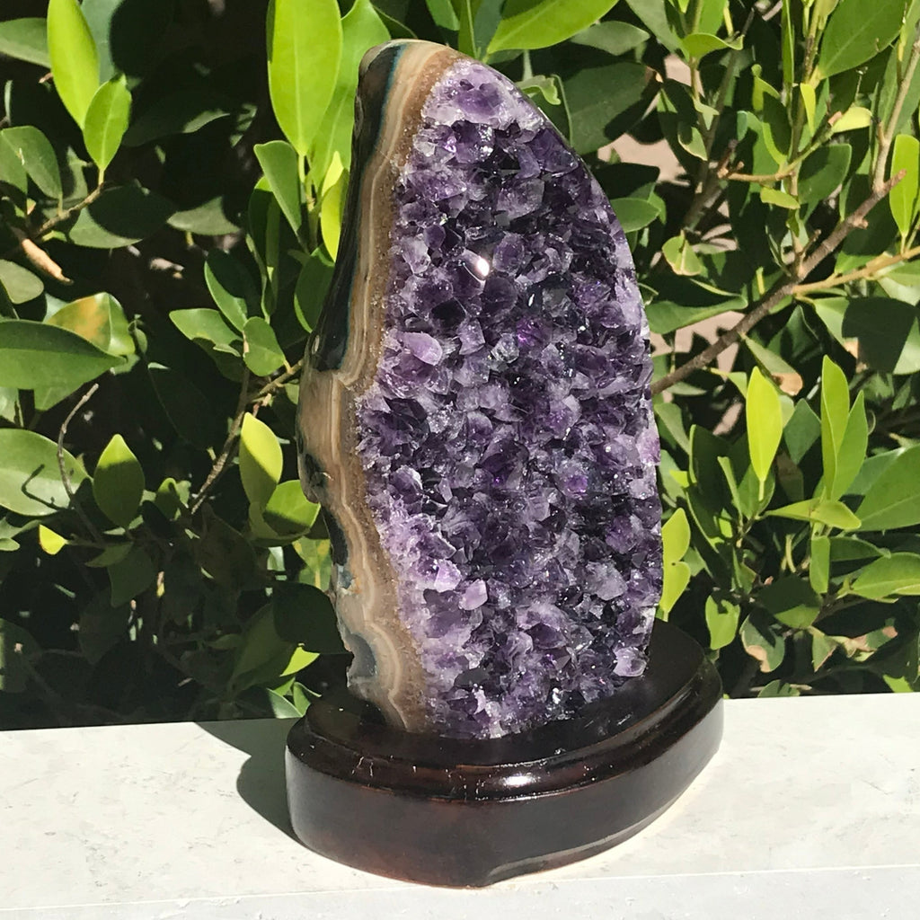 Classic Amethyst Freeform