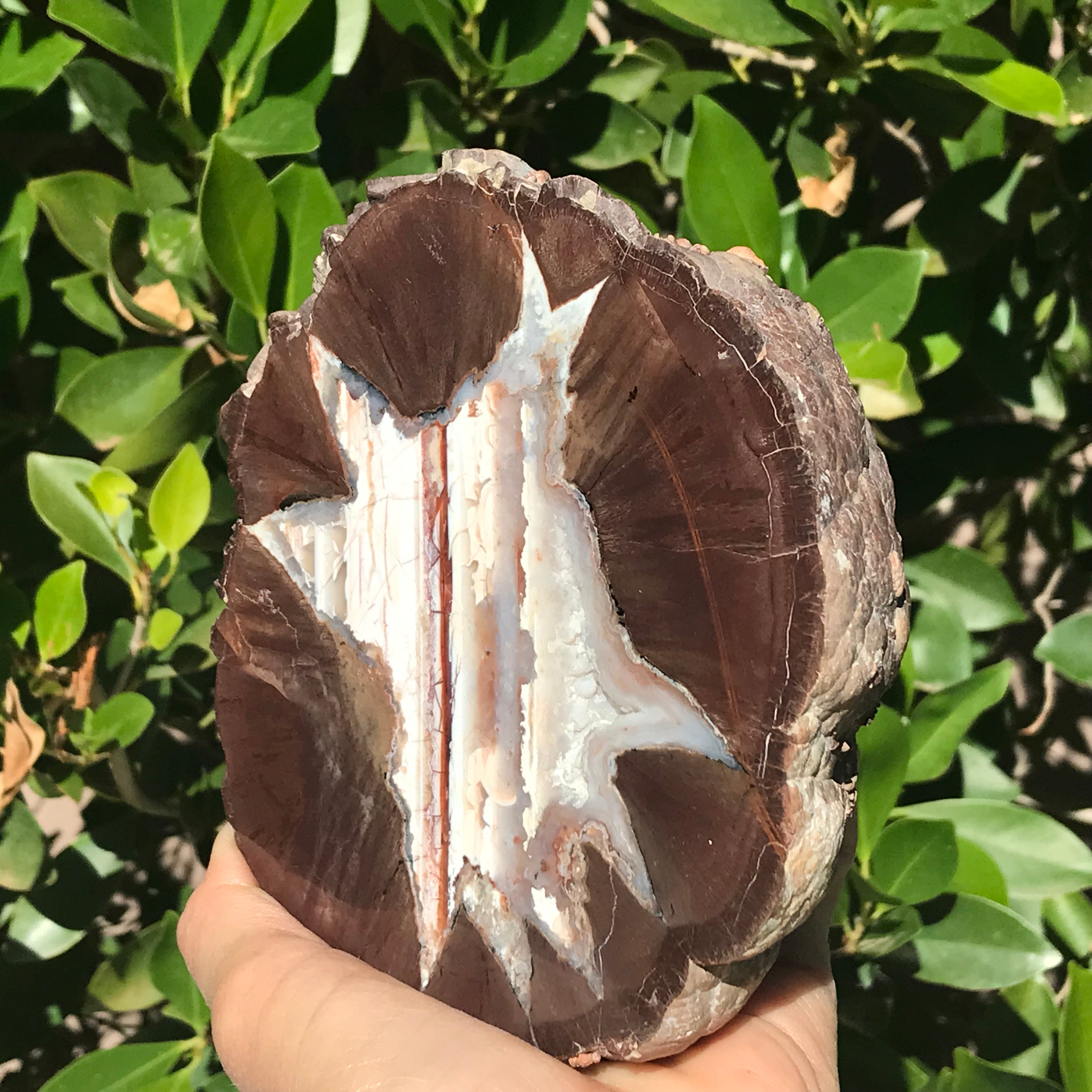 Star Insert Thunder Egg