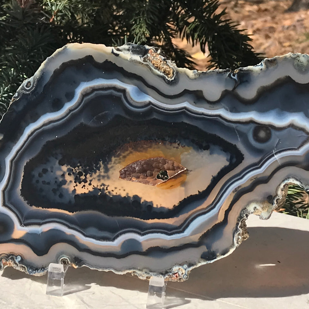 Striated Black Agate Slice