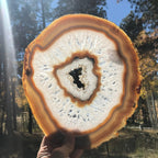 Consecutive Agate Slice #2