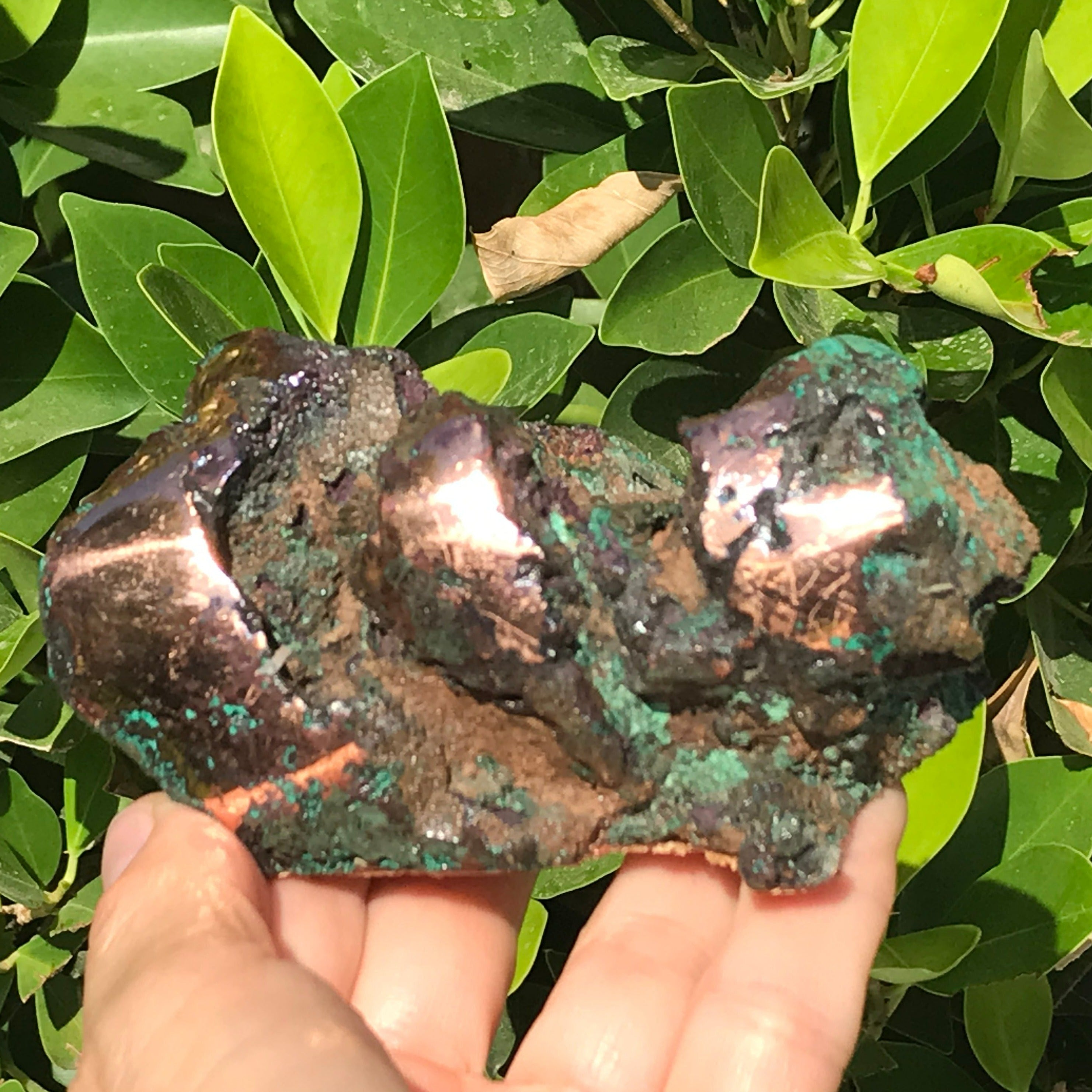 Michigan Float Copper Freeform