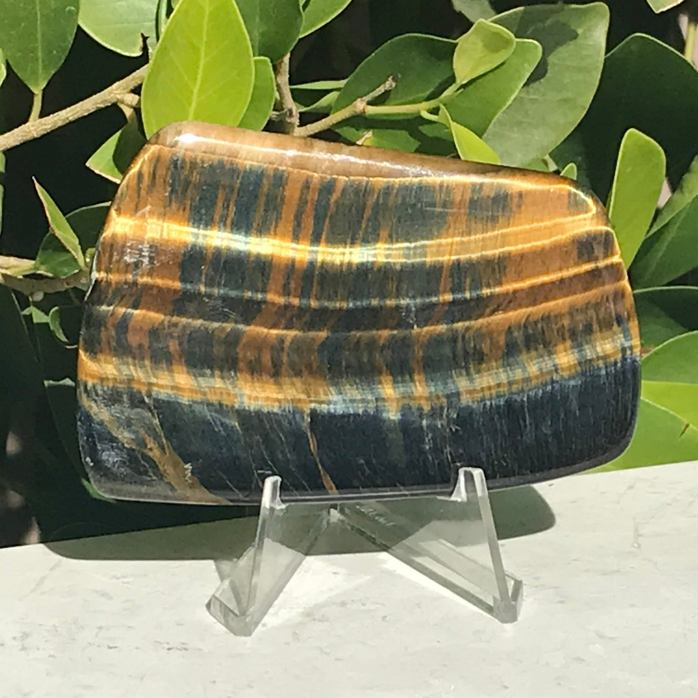 Tiger Eye Jasper Slab