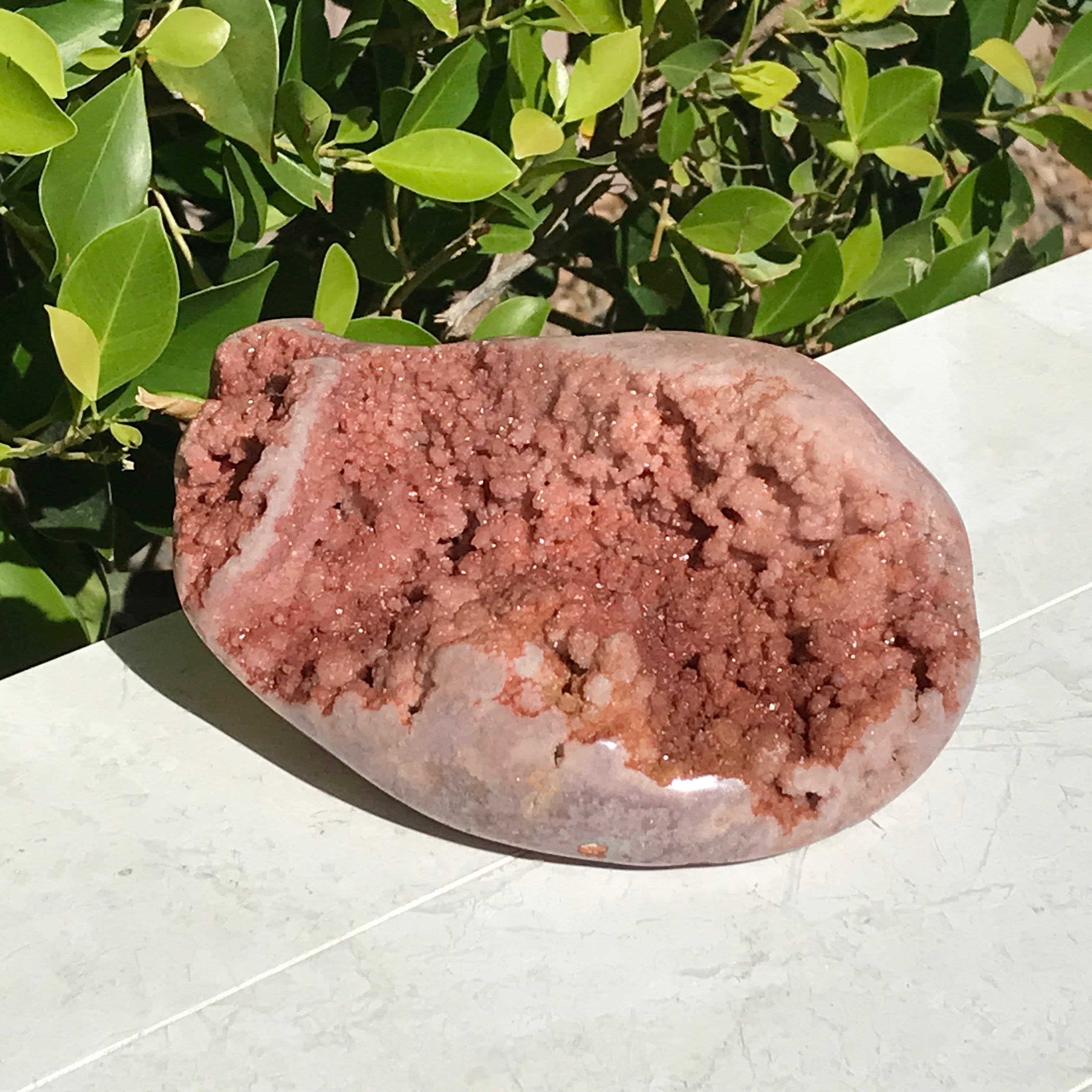 Brazilian Rose Plate
