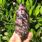 Black and Pink Rhodonite Nodule