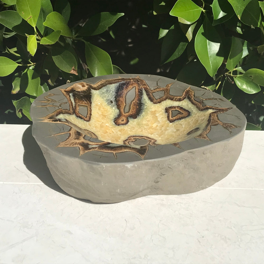 Ornately Patterned Septarian Bowl
