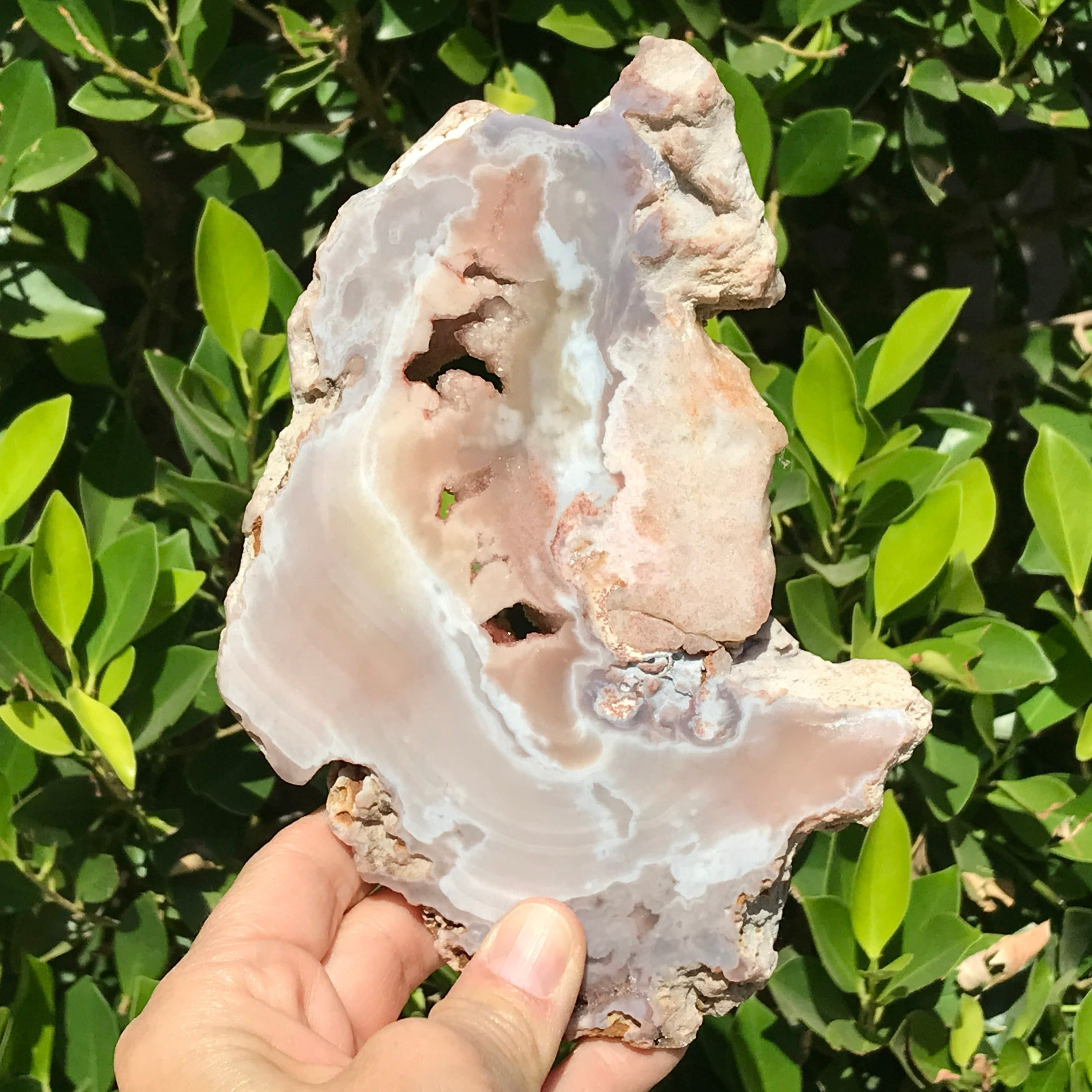 Sparkling Rose Jasper Slab