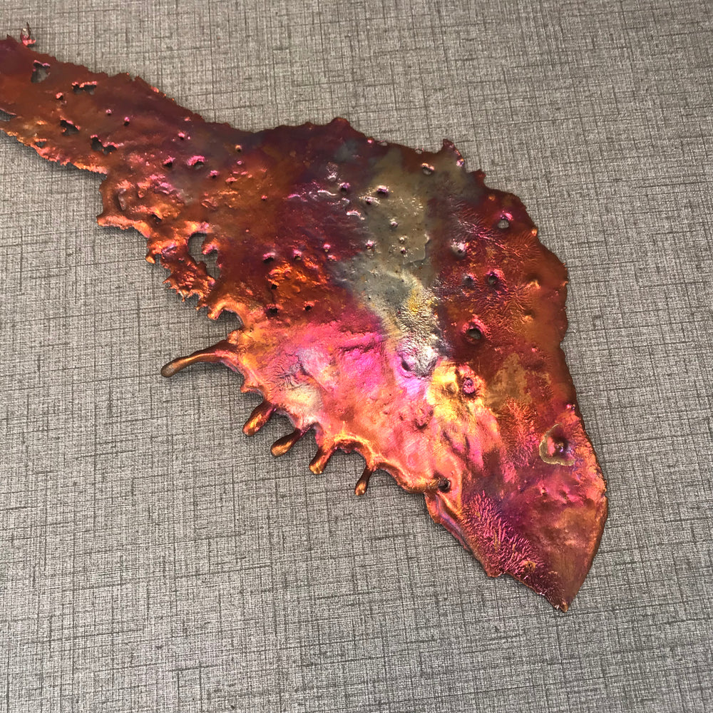 Intense Rainbow Splash Copper Wall Art