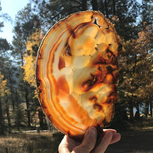 Fiery Detailed Agate Slice