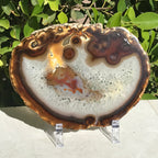 Hues of a Rainbow Agate Slice