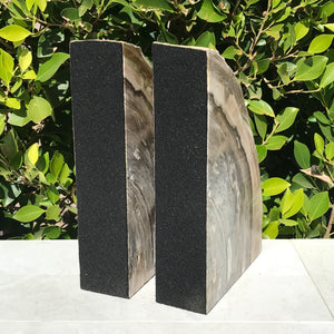 Petrified Elm Wood Bookends