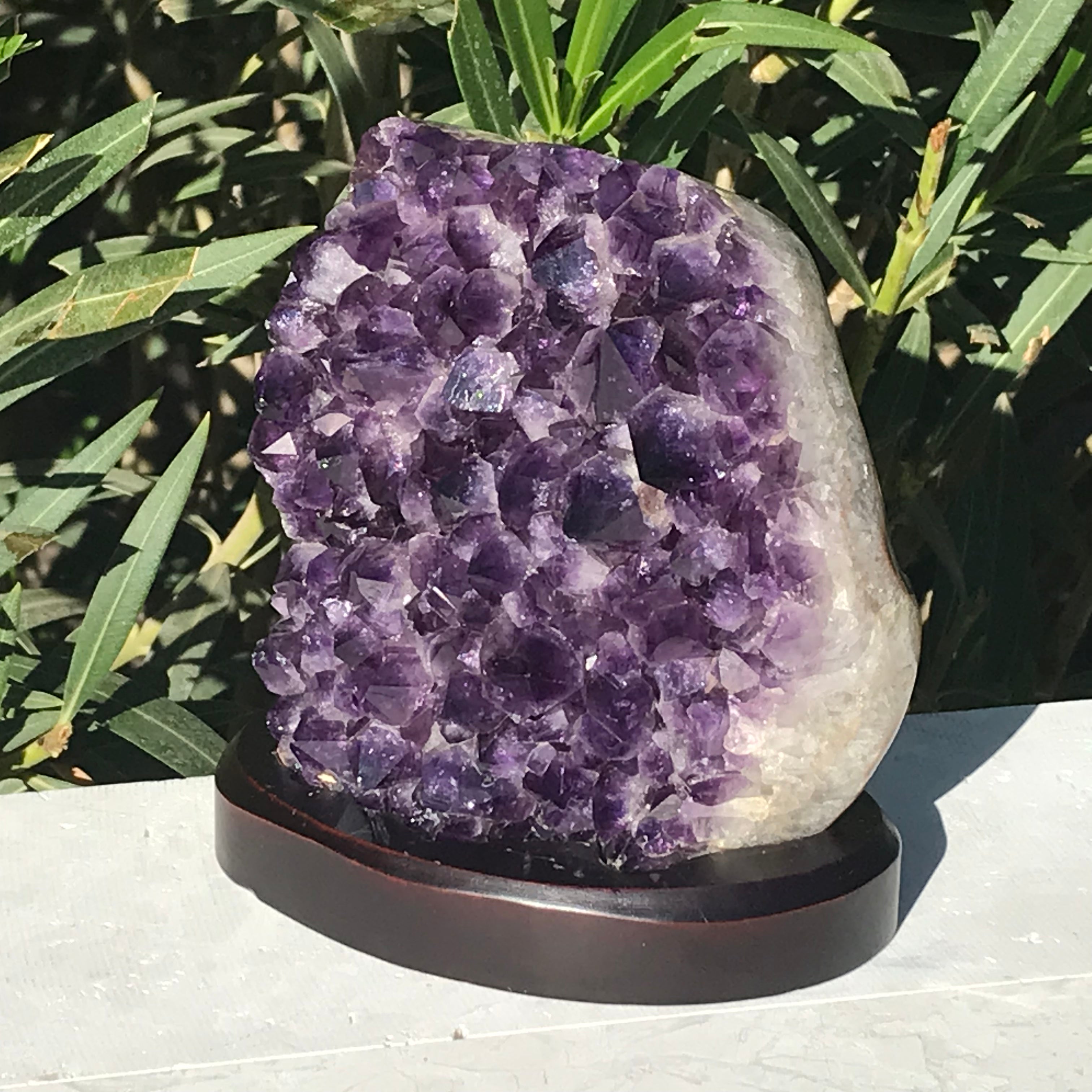 Simple Elegence Amethyst Freeform
