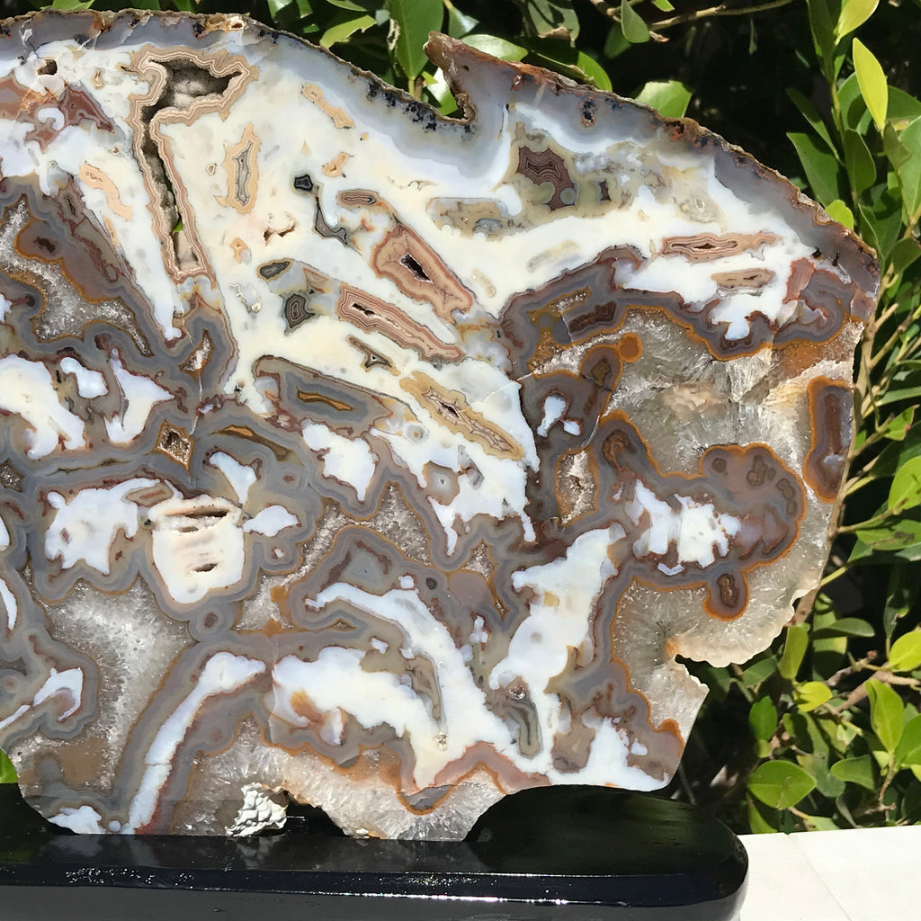 Striking Brazilian Agate Slice