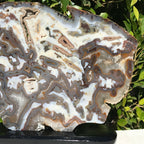Striking Brazilian Agate Slice