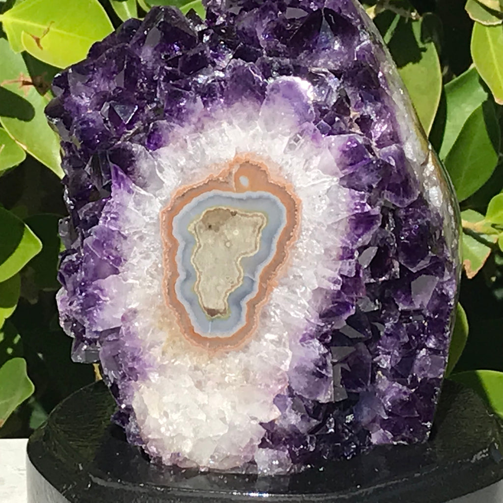Stalactite Eyed Amethyst Cluster