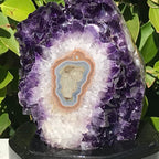 Stalactite Eyed Amethyst Cluster