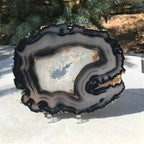 Bold Banded Agate Slice