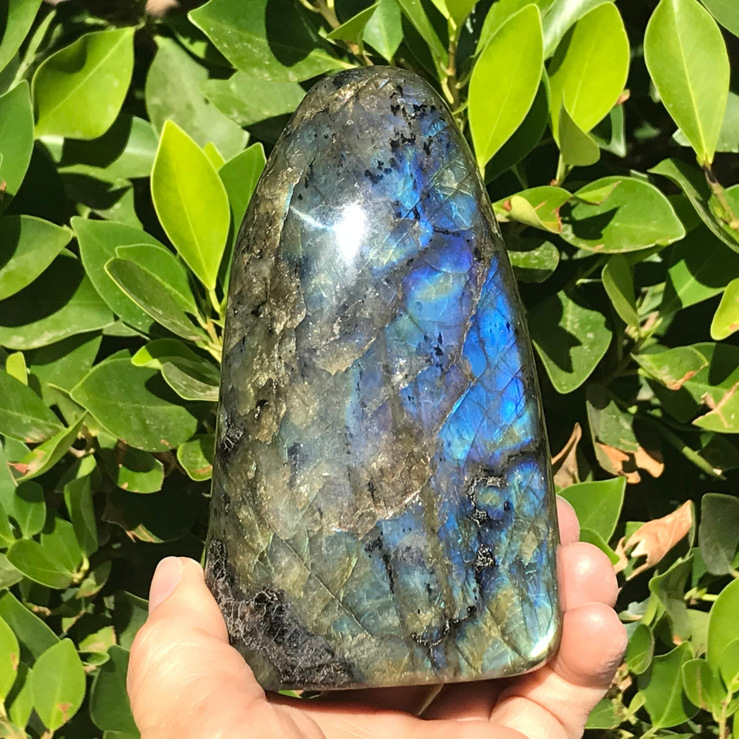 Colorful and Patterned Labradorite Freeform