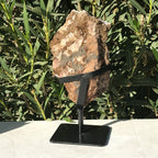 Standing Citrine Freeform