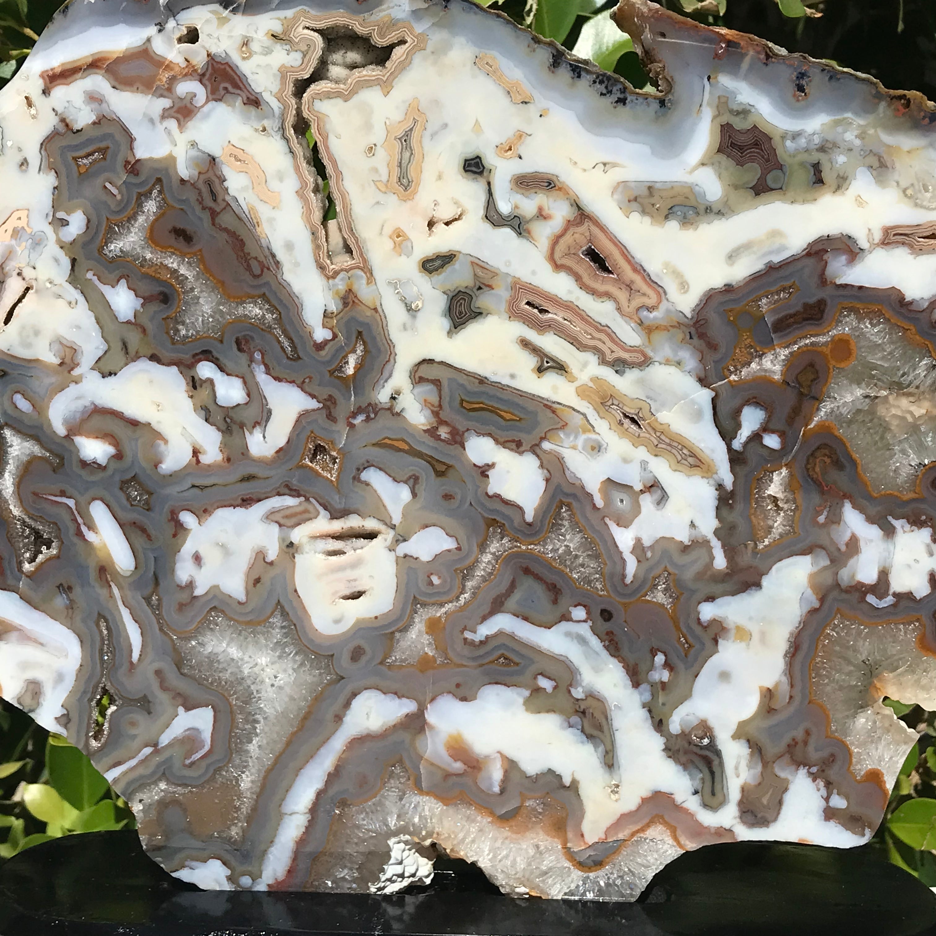 Striking Brazilian Agate Slice