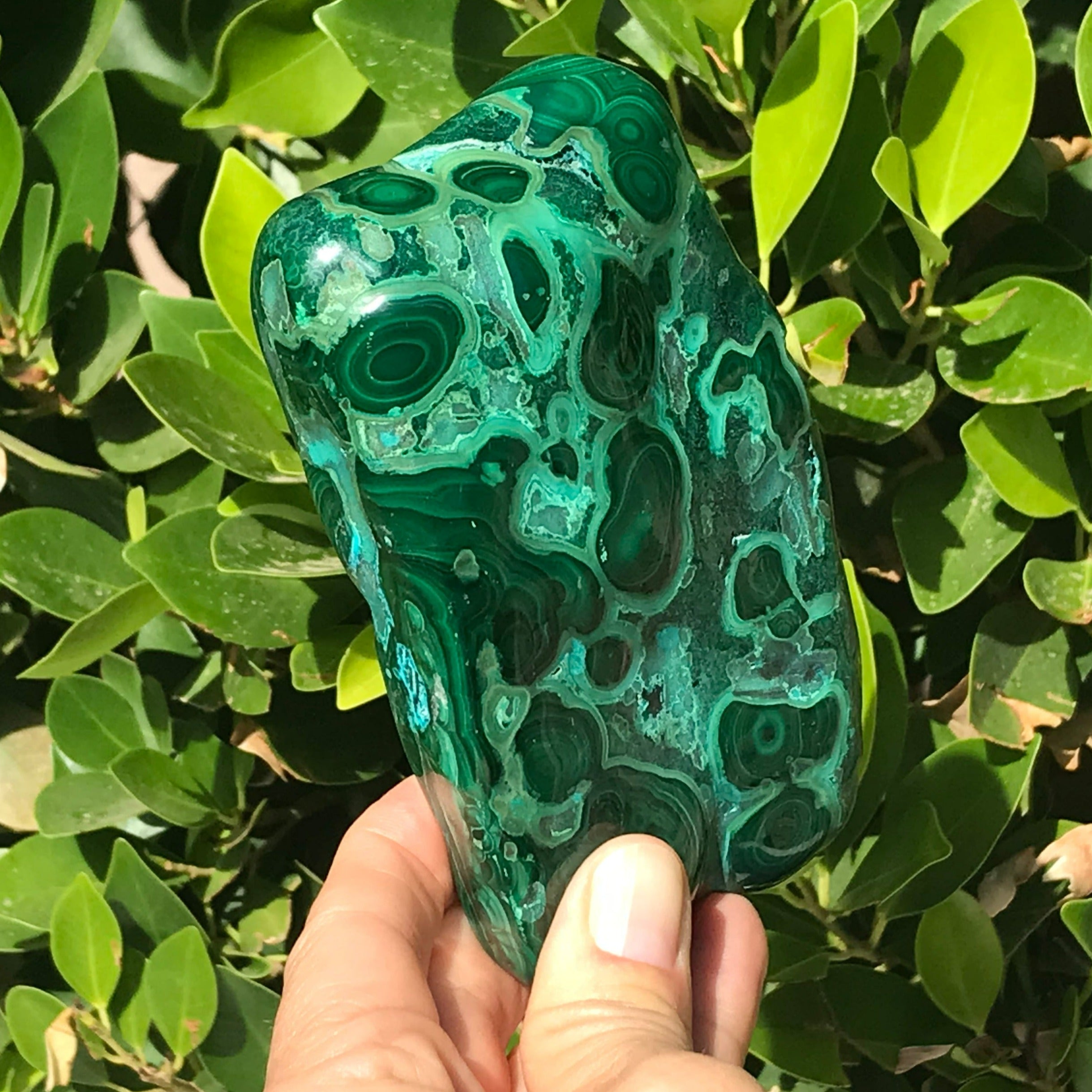 Complex Patterned Malachite/Chrysocolla Nodule
