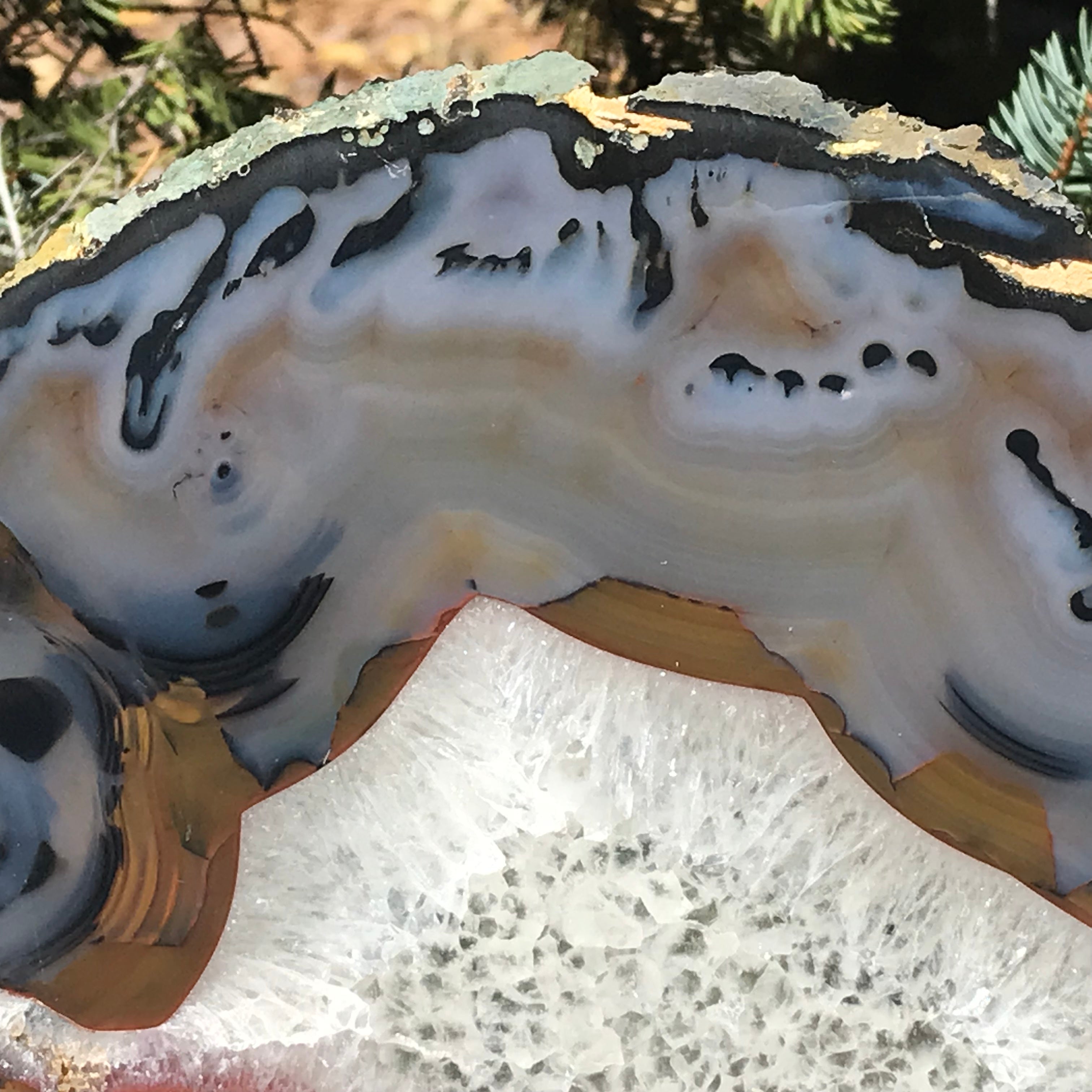 Exceptional Brazilian Agate Slice