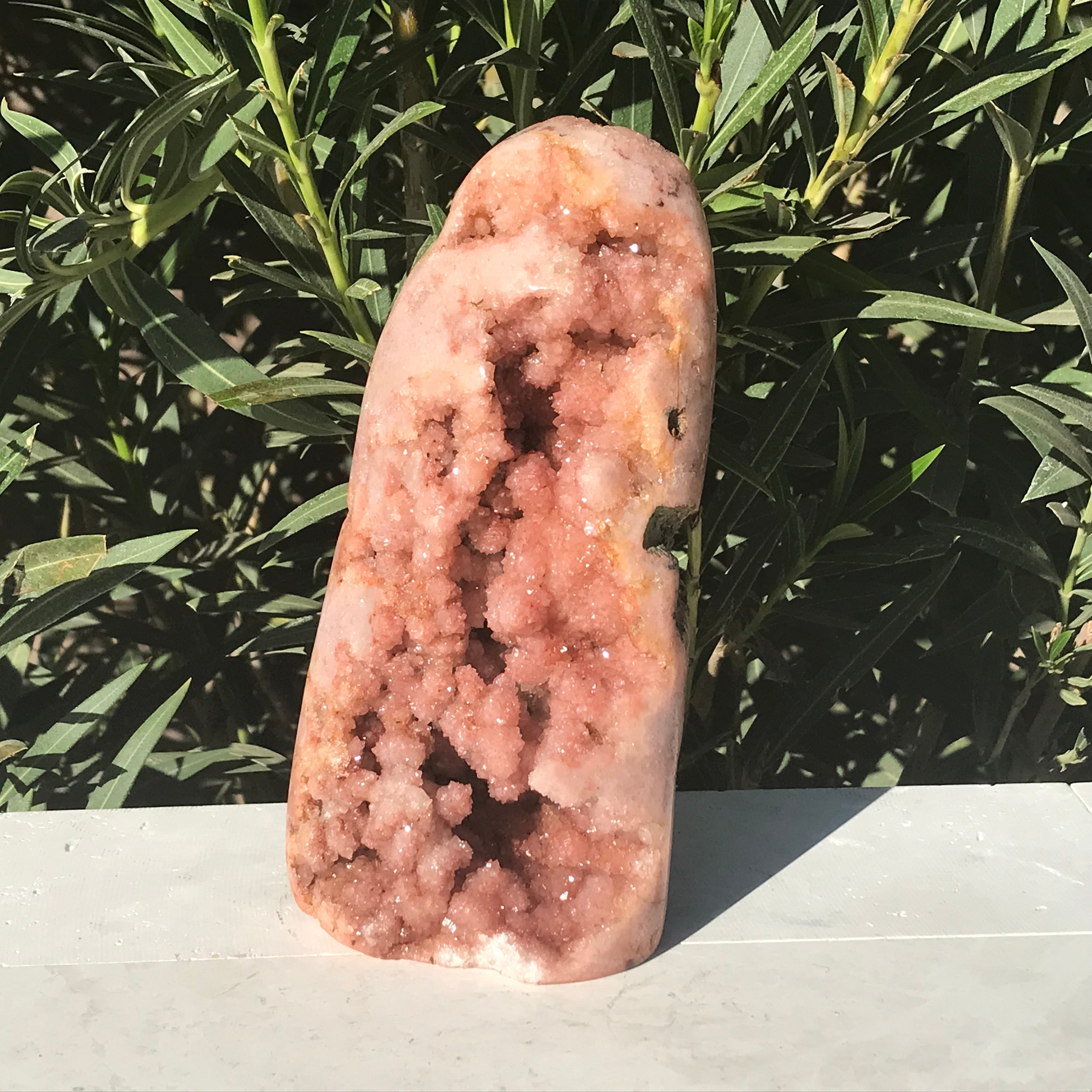 Tower of Rose Freeform