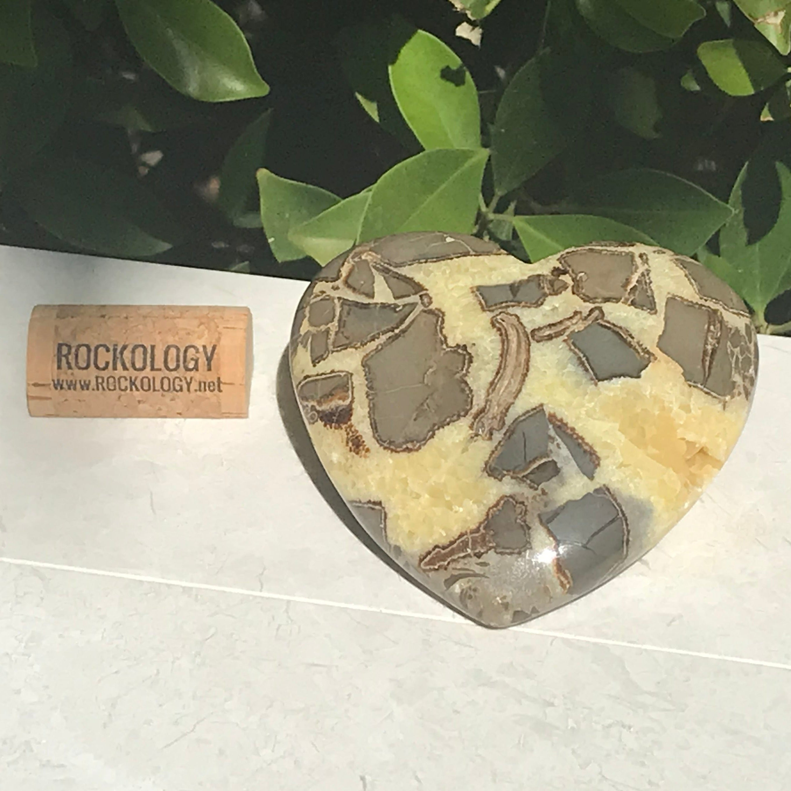 Double Sided Septarian Heart