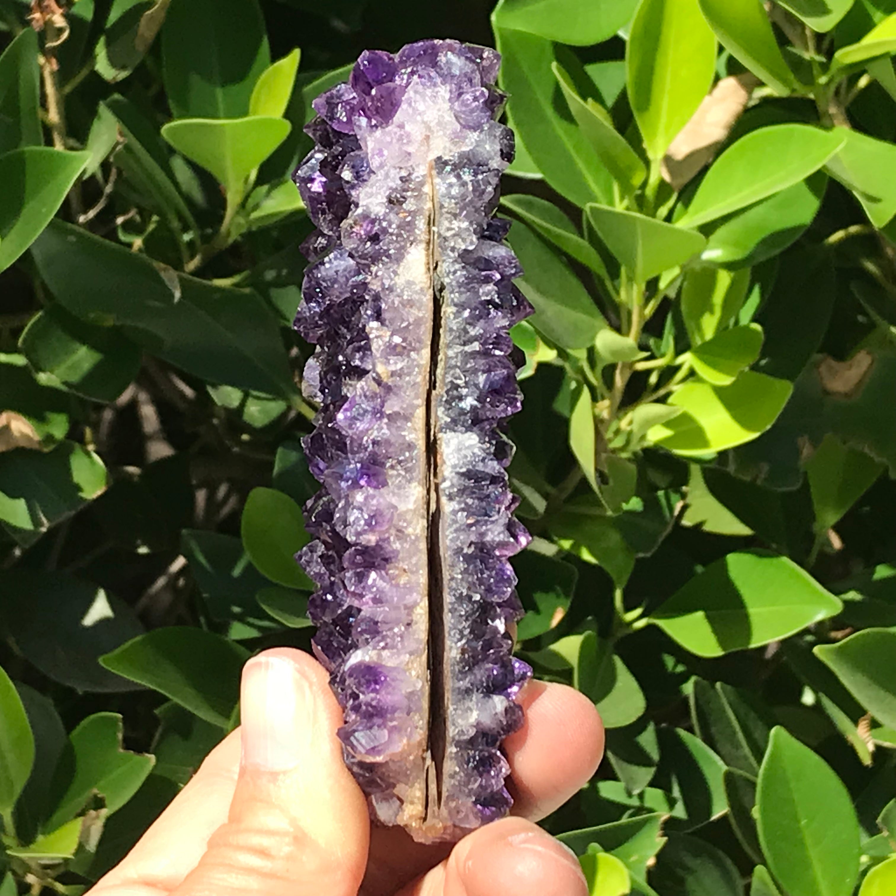 Uruguayan Amethyst Plate