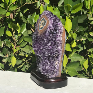 Single Eyed Amethyst Freeform