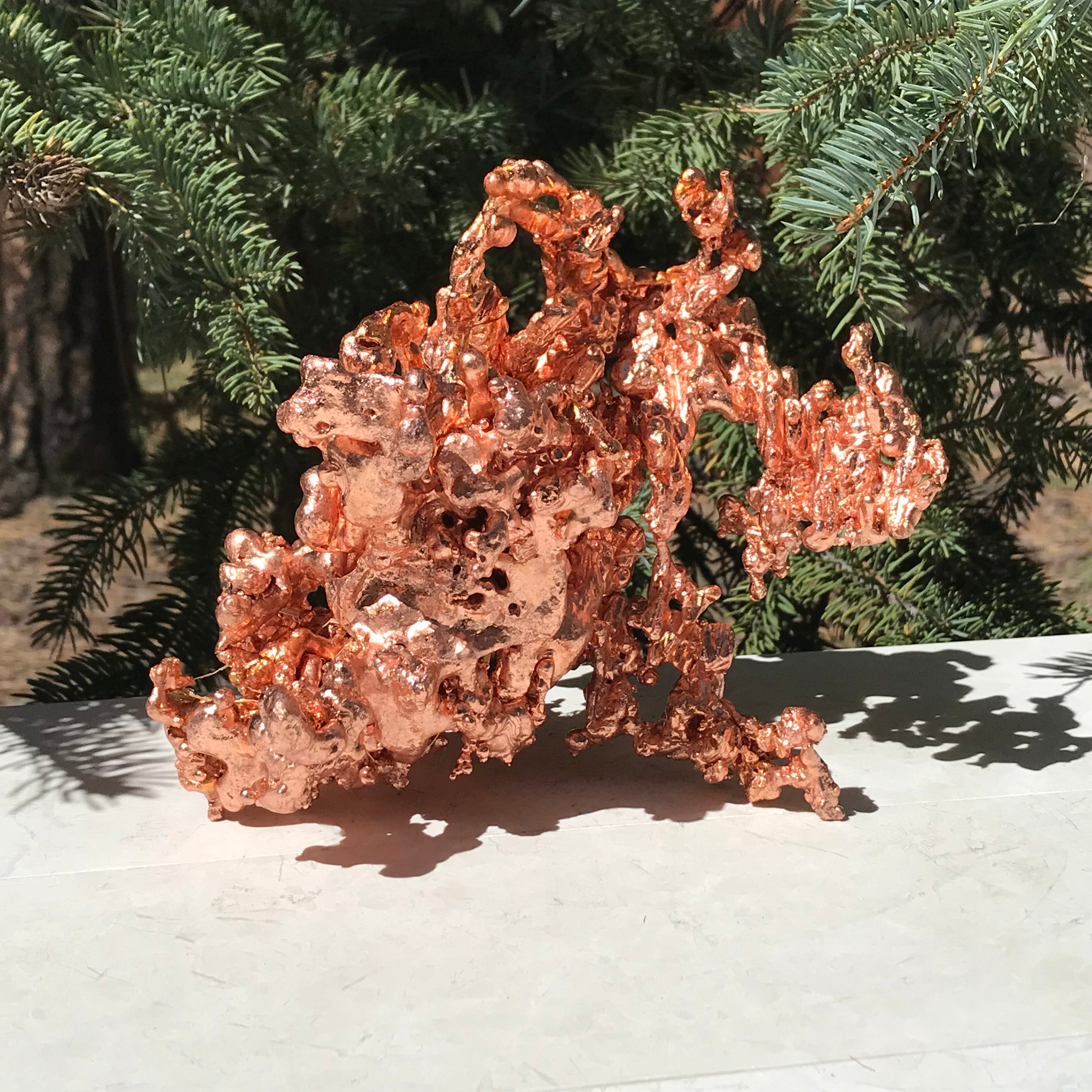 Michigan Sculpture Copper