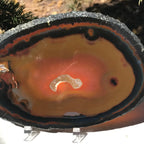 Dramatic Agate Slice