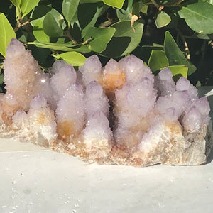 Quartz Crystal Topped Cactus Quartz Slab