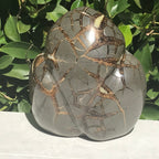 Septarian Geode