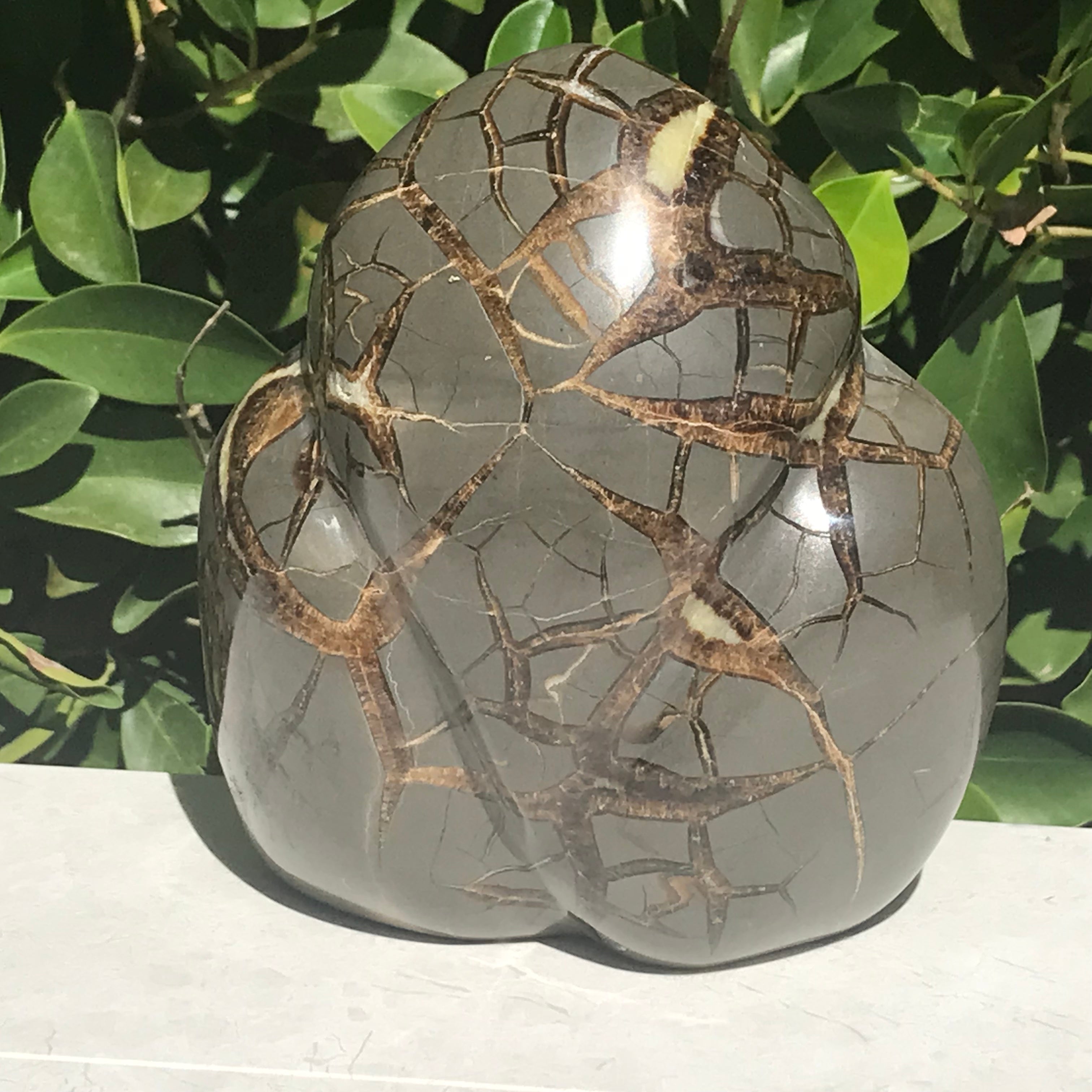 Septarian Geode