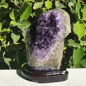 Double Faced Uruguayan Amethyst Freeform