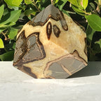 Polished Septarian Cube