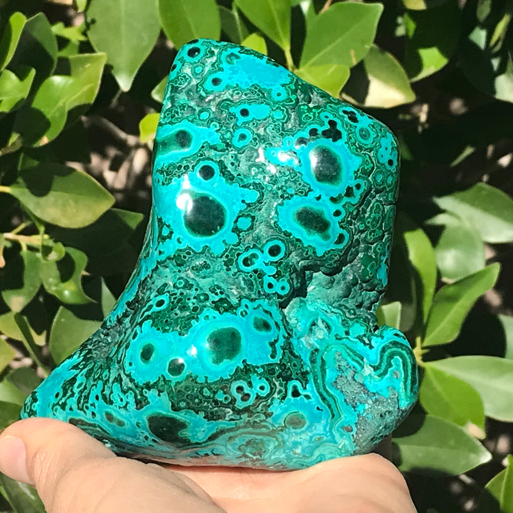 Hues of Turquoise and Green Malachite/Chrysocolla Nodule