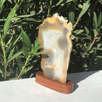 Glowing Brazilian Agate Slice