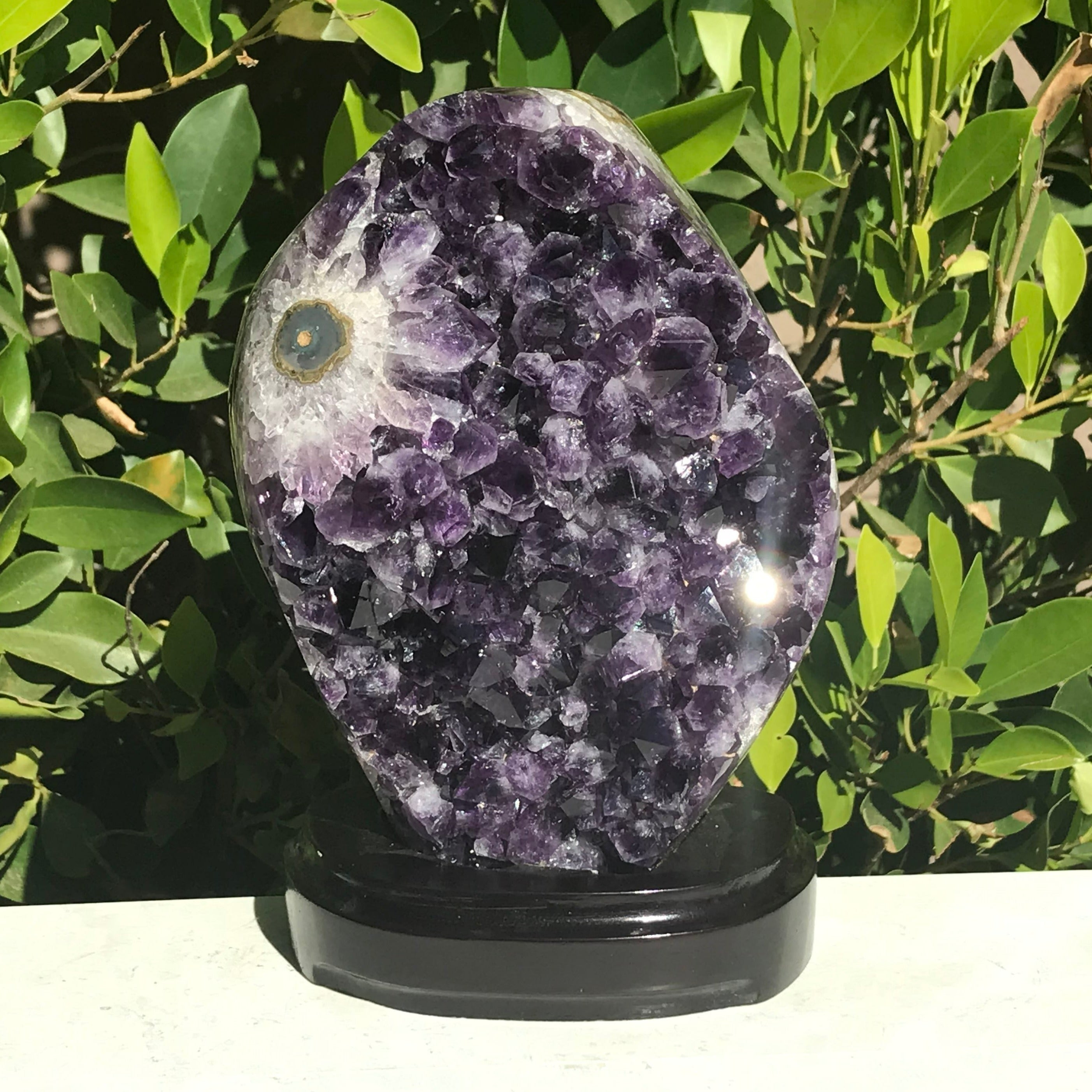 Single Eyed Amethyst Freeform