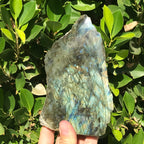 Brilliant Labradorite Freeform