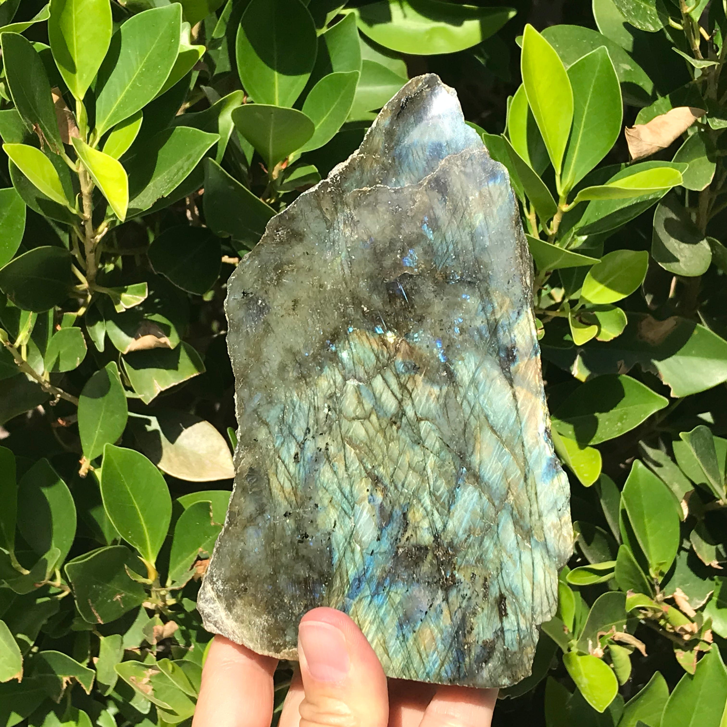 Brilliant Labradorite Freeform
