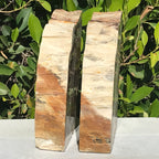 Petrified Maplewood Bookends