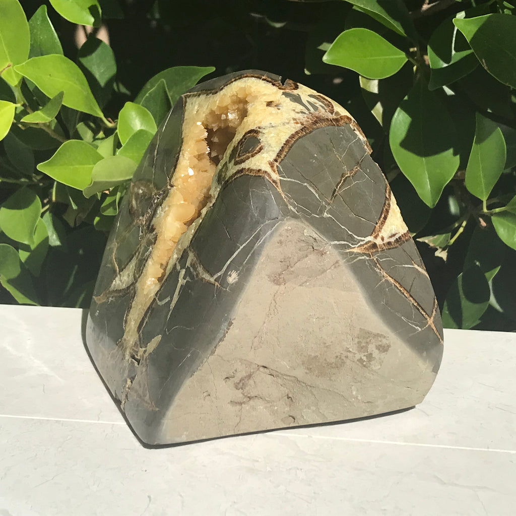 Septarian Contraction Contemporary Septarian Nodule – Rockology.net