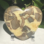 Double Sided Septarian Heart
