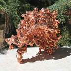 Michigan Sculpture Copper