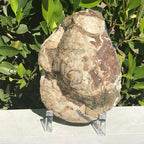 Olive Green Banded Amethyst Geode